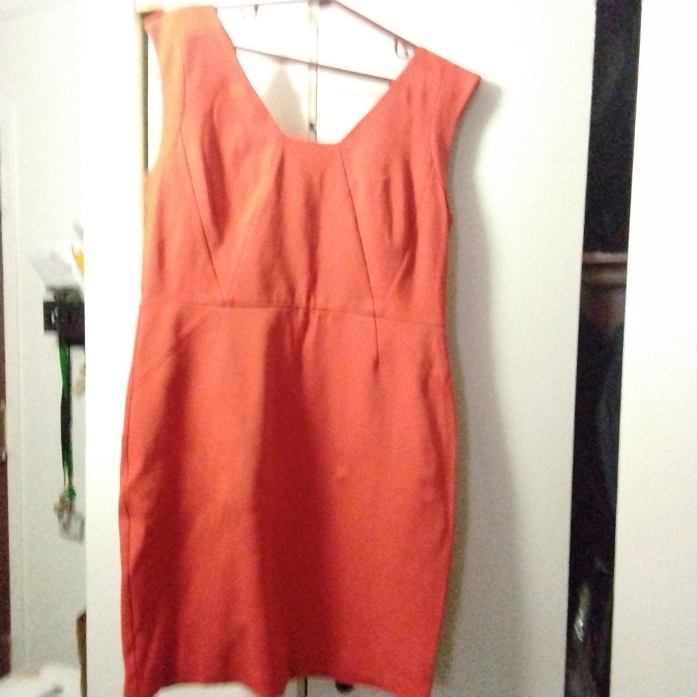 Ladies dress By Ann Taylor